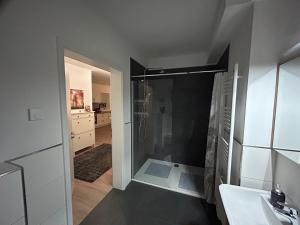 a bathroom with a shower and a sink at Moderne Ferienwohnung Green Garden mit Garten und Stellplatz in Bremerhaven