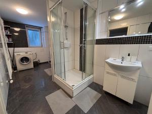 une salle de bain avec douche, lavabo et toilettes dans l'établissement Ferienwohnung, Tageswohnung neben Braunschweig, à Meine