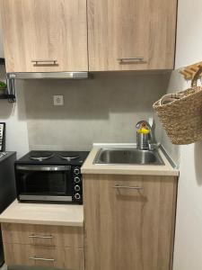 a kitchen with a sink and a microwave at ΑΡΜΟΝΙΑ-Harmony in Veria +15 photos