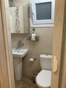 a small bathroom with a toilet and a sink at ΑΡΜΟΝΙΑ-Harmony in Veria