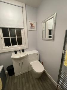 a bathroom with a toilet and a sink and a window at Papa Jim's Cottage in Dirleton +24 photos