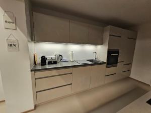 Kuchyňa alebo kuchynka v ubytovaní Apartments Shema