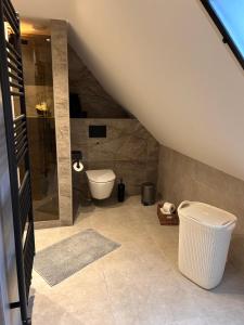 a bathroom with a toilet and a walk in shower at Vakantiewoning Salland in Markelo +50 photos