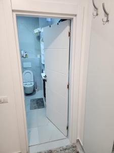 a bathroom with a shower and a toilet at Apartmani Nikmil Vrnjačka Banja in Vrnjci