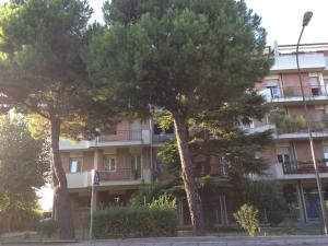 dos árboles frente a un edificio de apartamentos en Central and comfortable, en Santarcangelo di Romagna