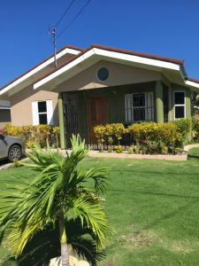 una casa con una palma di fronte di Fay Hideaway a Saint Annʼs Bay
