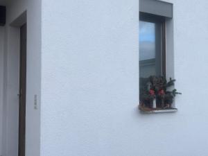Fotografie z fotogalerie ubytování Studio 5 Minuten von Murten v destinaci Münchenwiler