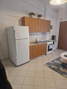 a kitchen with a white refrigerator and wooden cabinets at Pamys House in Kalamitsi +14 photos