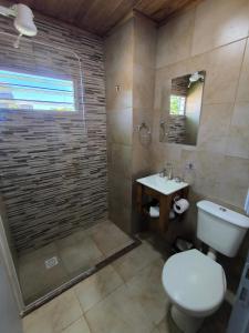 a bathroom with a shower and a toilet and a sink at La Posada de Dante in Puerto Iguazú +38 photos