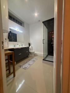 ヴィルモンブルにあるJacuzzi House - 1-Bed & Parking - Villemomble, Parisのシャワー、洗面台、トイレ付きのバスルーム +24枚の写真