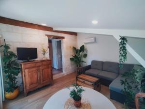 a living room with a couch and a tv at Gîte Jardin Du Chay in Galgon +16 photos