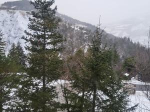 a group of trees in front of a snow covered mountain at chalet LES GRANDES TERRES in Enchastrayes