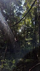 Φυσικό τοπίο κοντά σε αυτή η βίλα