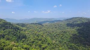 Φυσικό τοπίο κοντά σε αυτή η βίλα