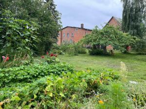 Taman di luar Alte Bäckerei Gnade auf Rügen