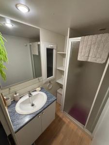 um banheiro com pia e chuveiro em Casa Venus - con jardín y piscina em Alcalá de Guadaira