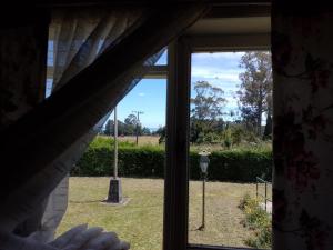 a window with a view of a yard with a street light at La Posada del Colono in Puerto Clocker