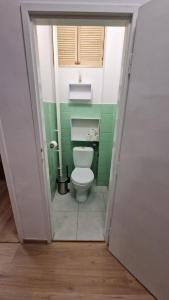 a small bathroom with a toilet in a room at Apartment Justina in Staré Mesto