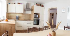 Kuchyňa alebo kuchynka v ubytovaní Apartmán ACTIVE