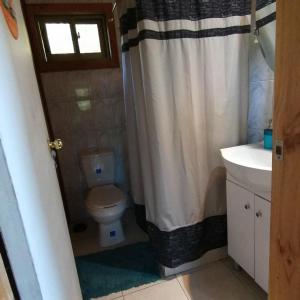 a bathroom with a toilet and a sink and a shower curtain at Casa campo in Futrono