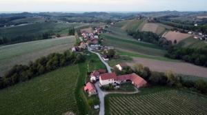 Příroda nedaleko apartmánu