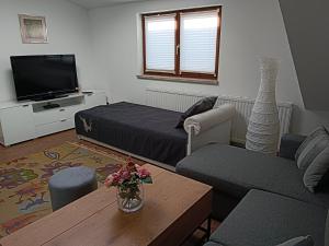 TV a/nebo společenská místnost v ubytování Haus Josef, Apartment mit Balkon und 2 Schlafzimmer