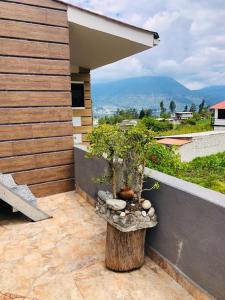 a tree stump sitting on the side of a house at Rincon Arrayán in Otavalo