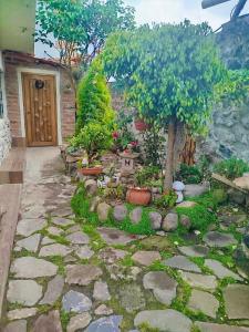 a garden with a tree and a stone walkway at Rincon Arrayán in Otavalo