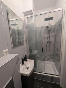 a bathroom with a shower and a sink and a toilet at La vins Apartments in Bremen