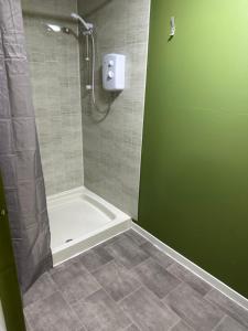 a shower with a green door in a bathroom at The Beehive in Narberth +17 photos