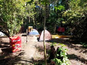 フロリアノポリスにあるCampin novas palmeiras 953の森の中の一団 +20枚の写真