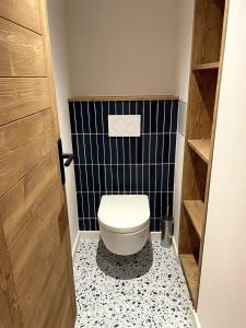 a bathroom with a toilet with a blue wall at Meribel Centre Mountain View in Mussillon