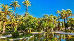 a park with palm trees and a pond at Low Cost Apartments Center Elche in Elche