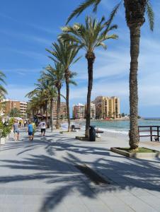 people walking down a sidewalk near the beach with palm trees at Palacio del mar in Torrevieja +12 photos