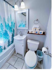 a bathroom with a white toilet and a sink at Pet friendly 3 bedroom house in Oklahoma City +16 photos