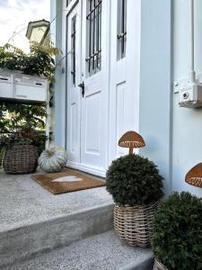 Ein Garten an der Unterkunft fuchsart like home