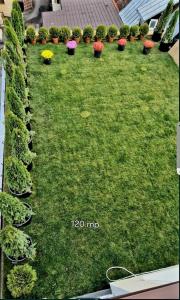 Κήπος έξω από το cosy room with terrace