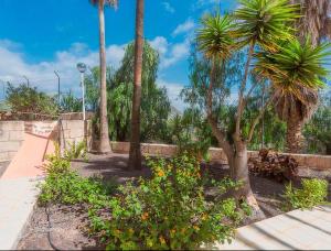 einen Park mit Palmen und einer Skateboardrampe in der Unterkunft Chayofa Escape Relax and Enjoy in Chayofa