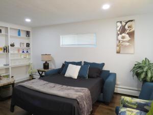 a living room with a bed and a couch at Coloful - Cozy - 1-BR & Sofa-bed in Waukegan