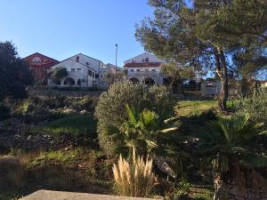 En have udenfor Apartment Marina