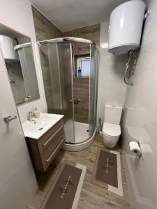 un bagno con doccia, WC e lavandino di Boho stan na dan a Brčko