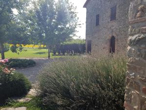 Ogród w obiekcie Agriturismo Villa al piano