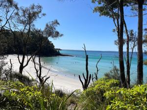 una spiaggia con persone in acqua e alberi di Hawkesview a Vincentia