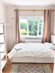 a bedroom with a bed and a window at Landscape Haven Room in Dublin