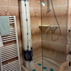 a bathroom with a shower with a glass door at Apartments Kat in Splitska +49 photos