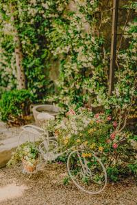 Jardin de l'établissement La Maison du Village