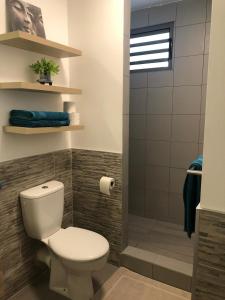 a bathroom with a toilet and a shower at Appartement TERUPE in Papeete +9 photos