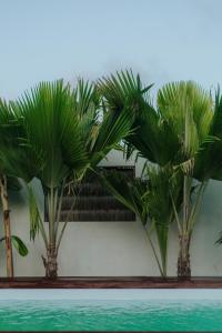 two palm trees sitting on top of a swimming pool at Chalé Buriti by Breezy Sport in Tutóia