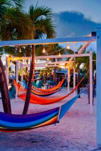 Foto sihtkohas Key Largo asuva majutusasutuse Happy in the Keys Tiny Home galeriist