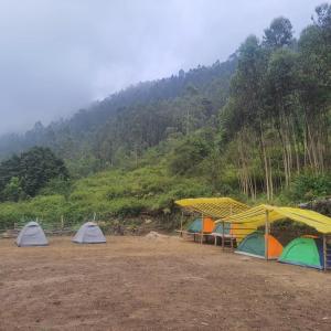 KottakamboorA Place without a Name的相册照片